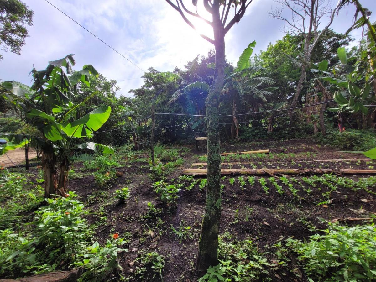 Granja Los Campesinos Monteverde Eksteriør bilde